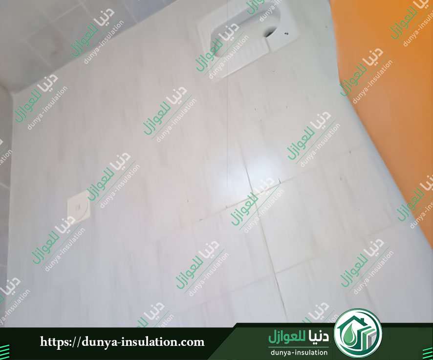 شركة عزل حمامات ومطابخ بالدوادمي أنواع مواد عزل الحمامات والمطابخ